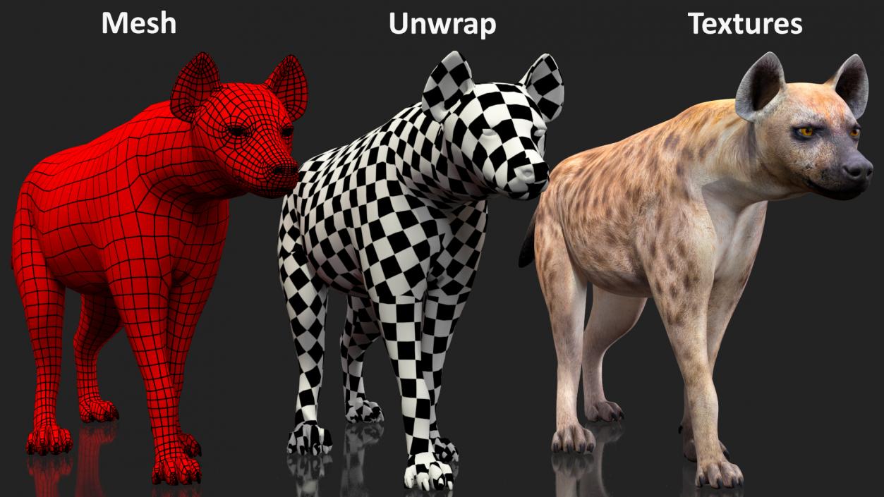 3D Hyena Walking Pose model