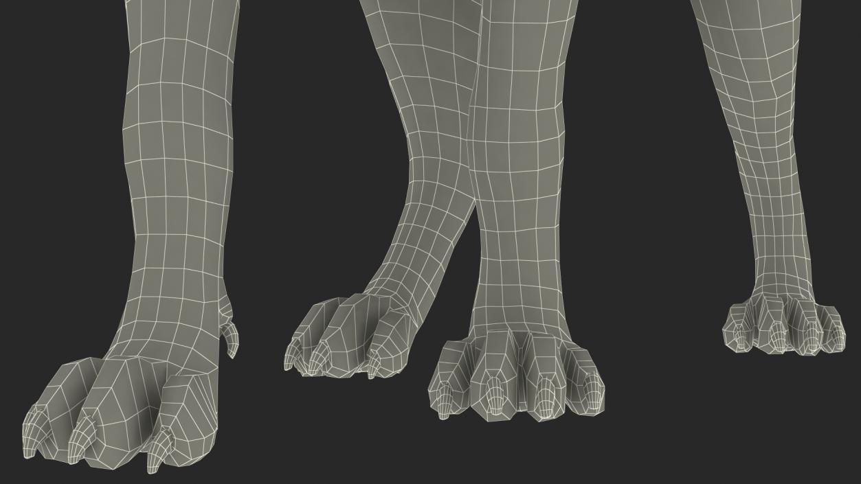 3D Hyena Walking Pose model