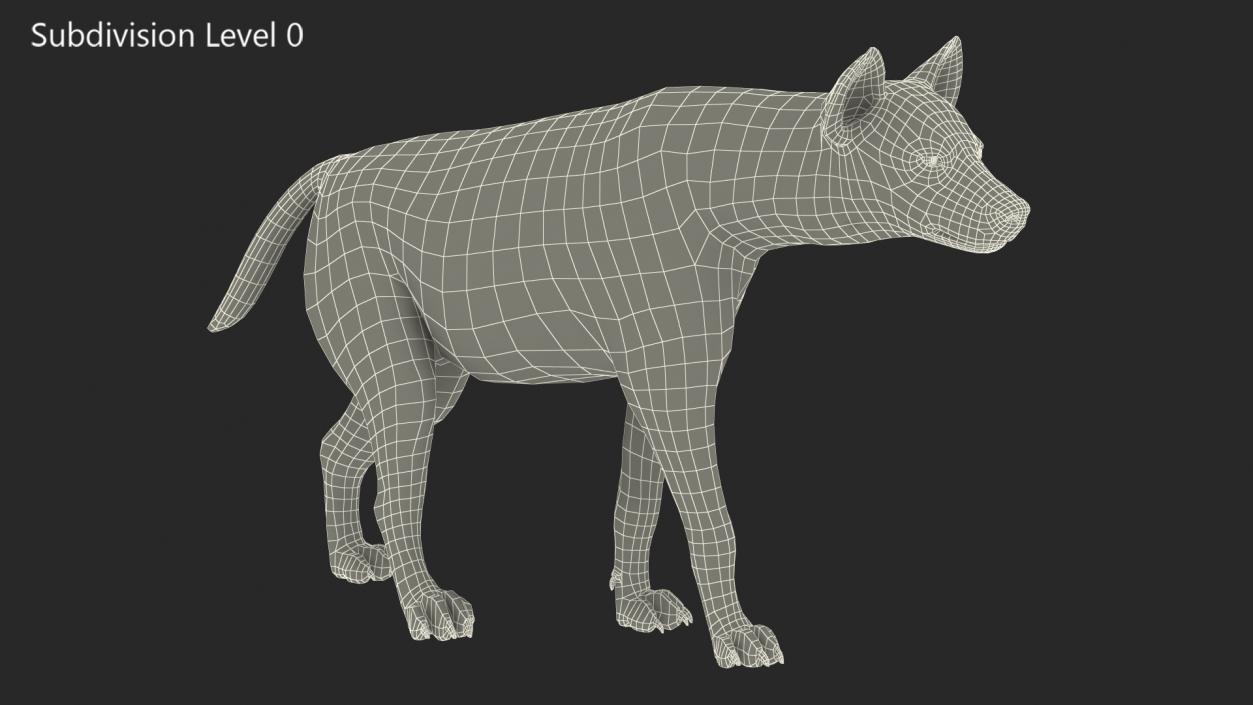 3D Hyena Walking Pose model