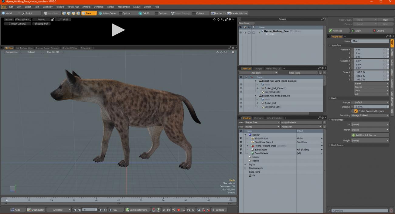 3D Hyena Walking Pose model