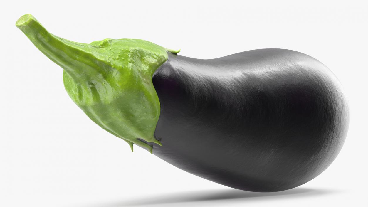 3D model Dark Purple Eggplant