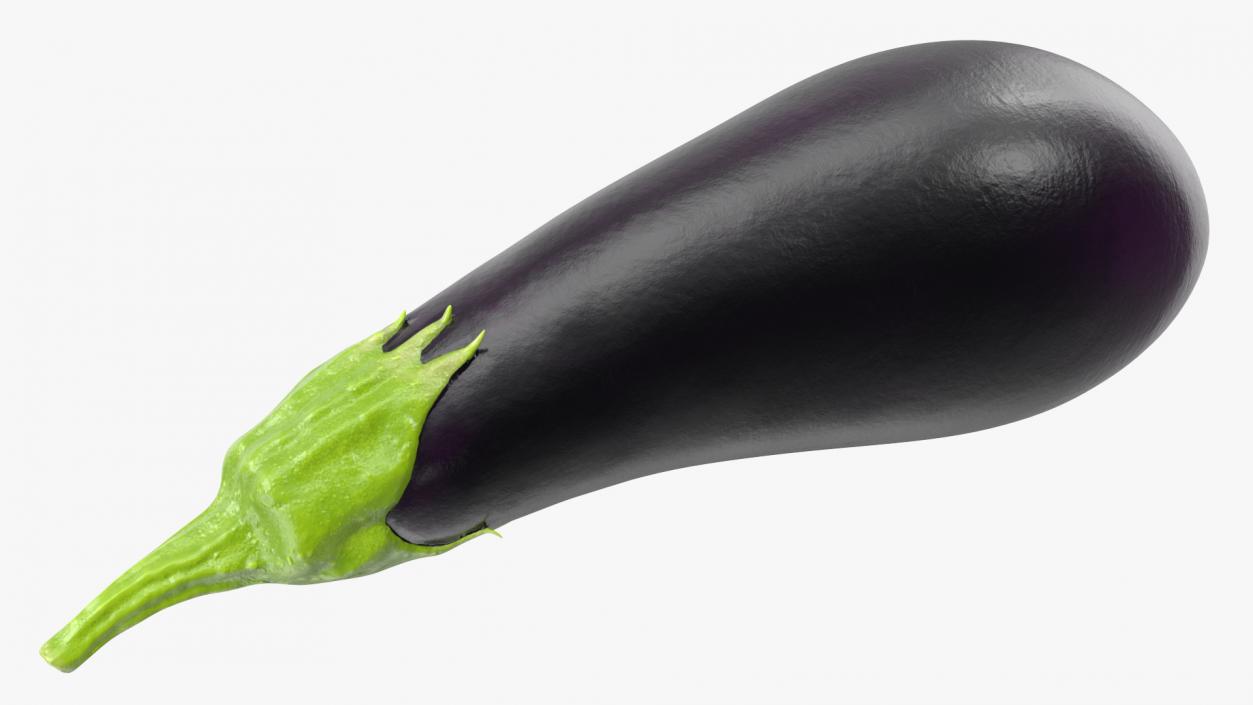 3D model Dark Purple Eggplant