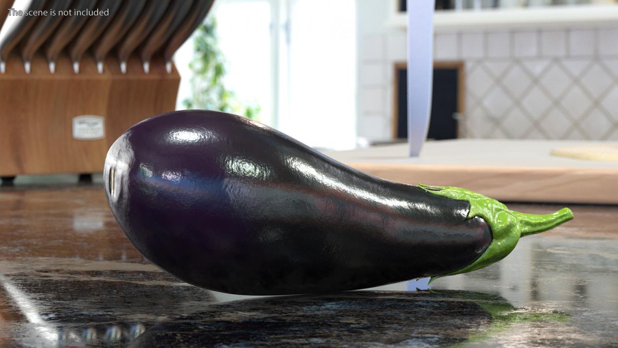 3D model Dark Purple Eggplant