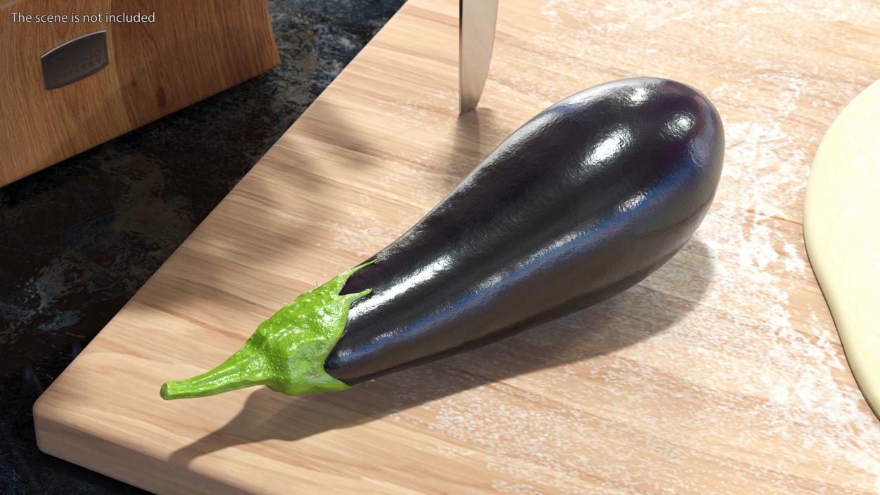 3D model Dark Purple Eggplant