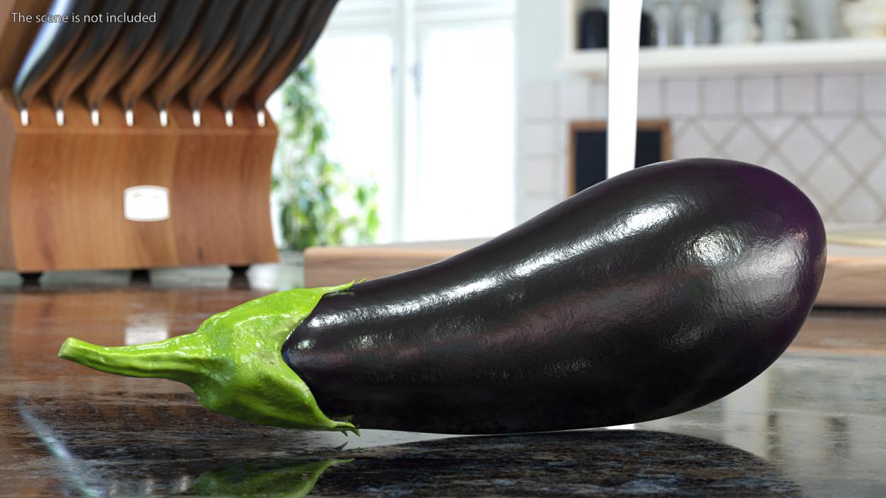 3D model Dark Purple Eggplant