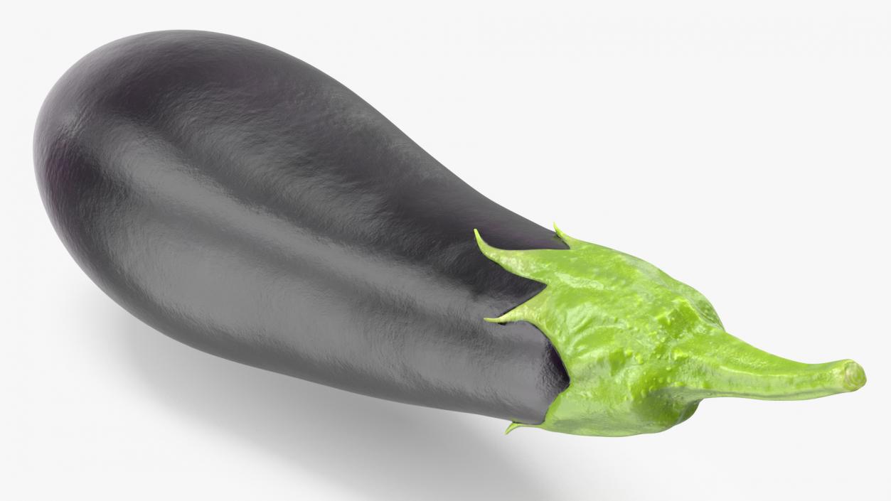 3D model Dark Purple Eggplant