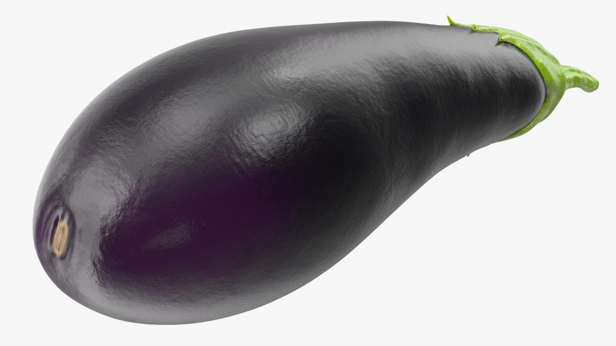 3D model Dark Purple Eggplant