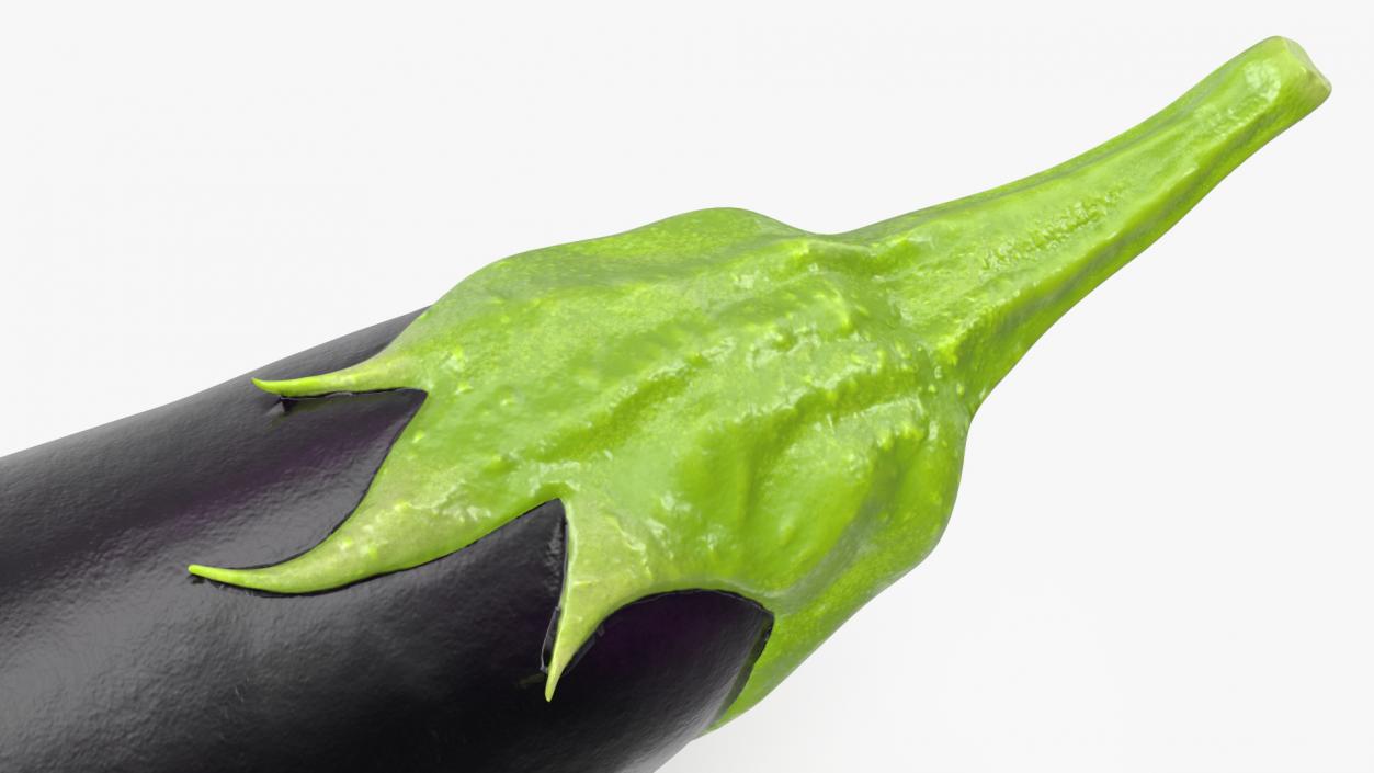 3D model Dark Purple Eggplant