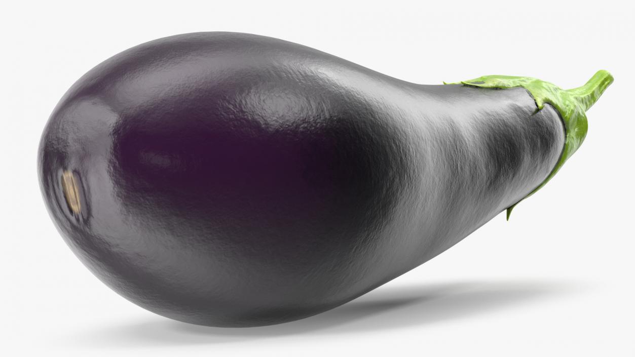 3D model Dark Purple Eggplant