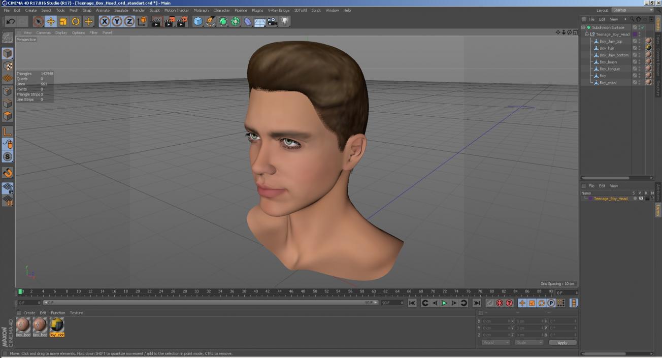 3D Teenage Boy Head