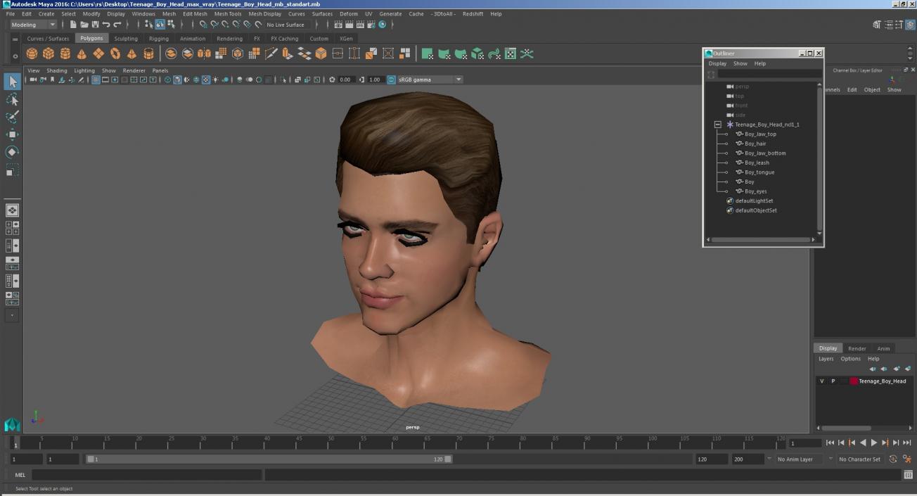 3D Teenage Boy Head