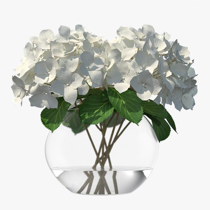 3D White Hydrangea Macrophylla in Glass Bowl