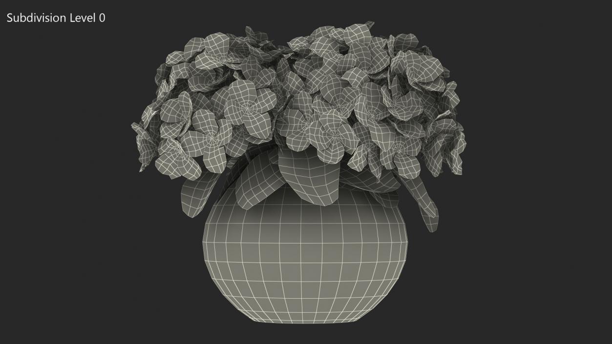 3D White Hydrangea Macrophylla in Glass Bowl