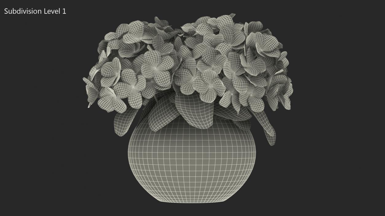 3D White Hydrangea Macrophylla in Glass Bowl