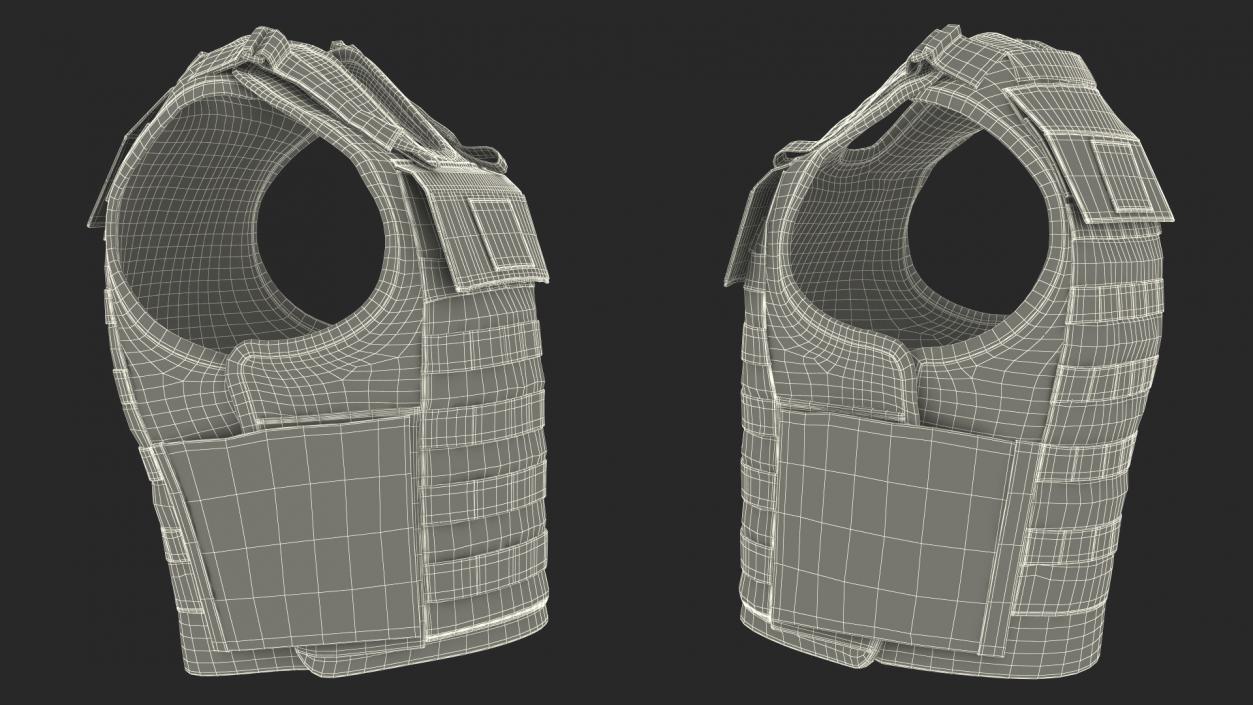 3D model Camo Army Body Armor Carrier 2