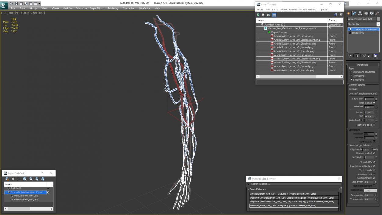 3D Human Arm Cardiovascular System