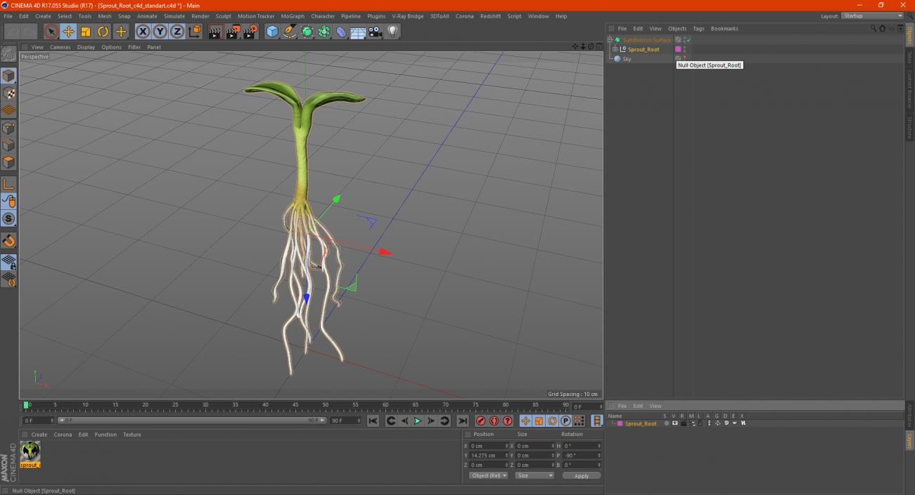 3D Sprout Root