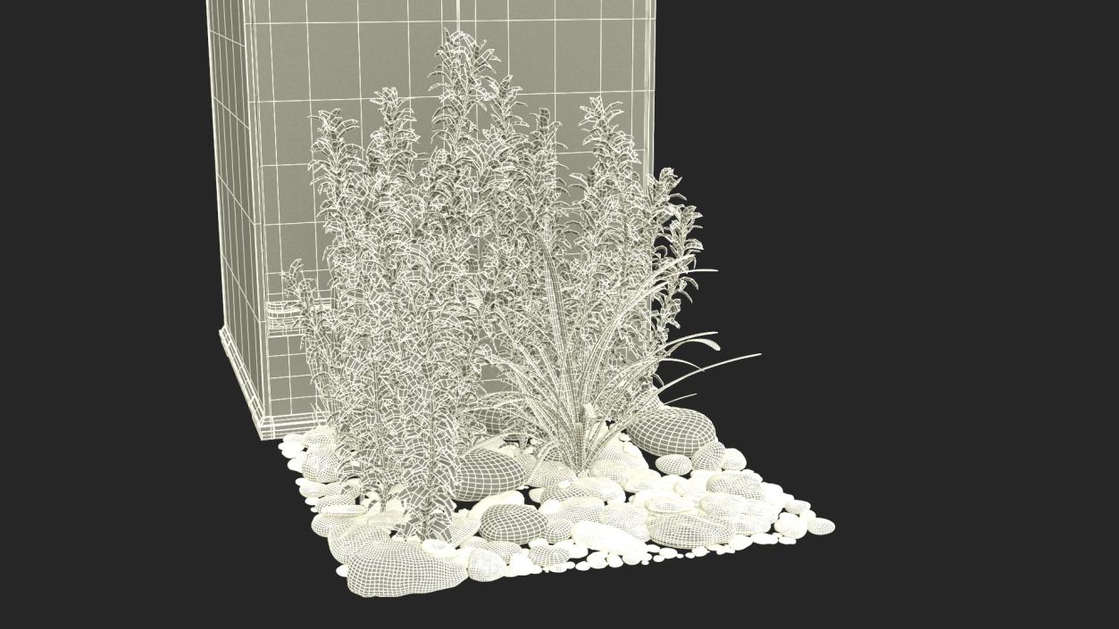 Tall Terrarium for Reptiles with Wild Plants 3D model