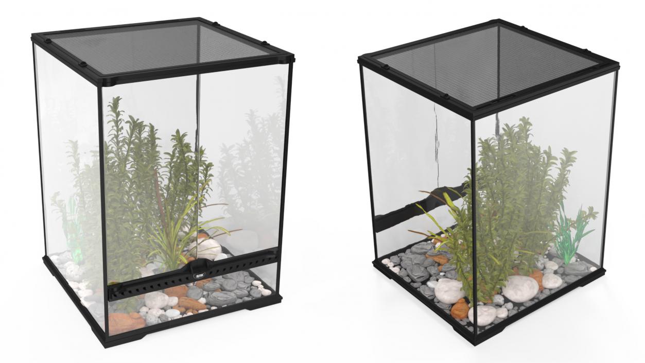 Tall Terrarium for Reptiles with Wild Plants 3D model