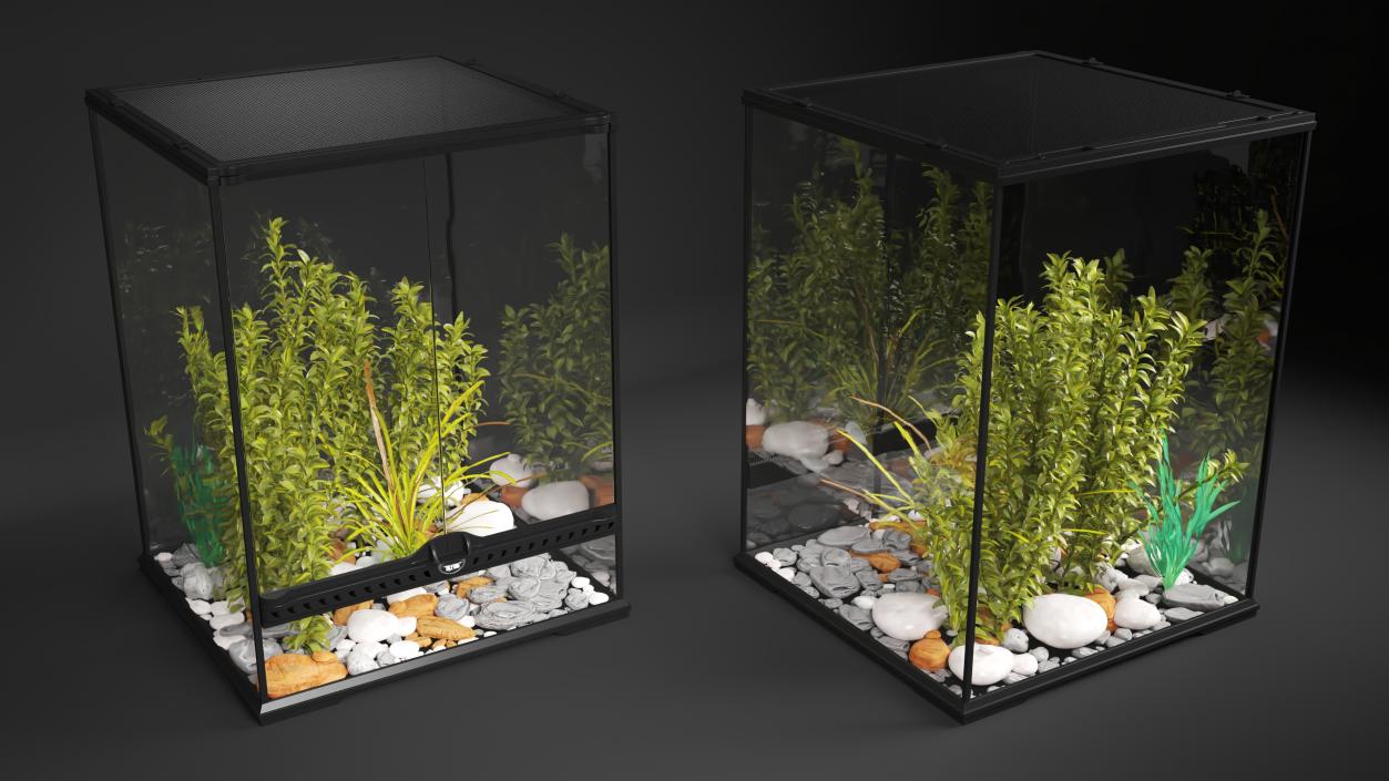 Tall Terrarium for Reptiles with Wild Plants 3D model