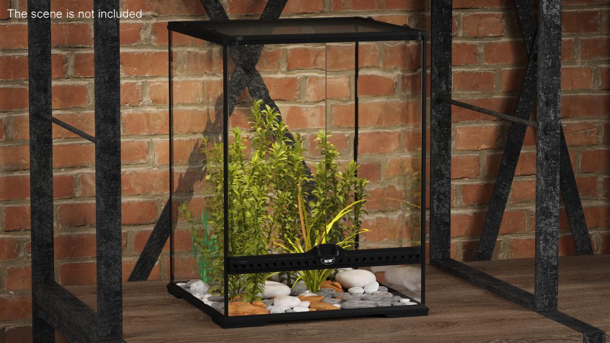 Tall Terrarium for Reptiles with Wild Plants 3D model