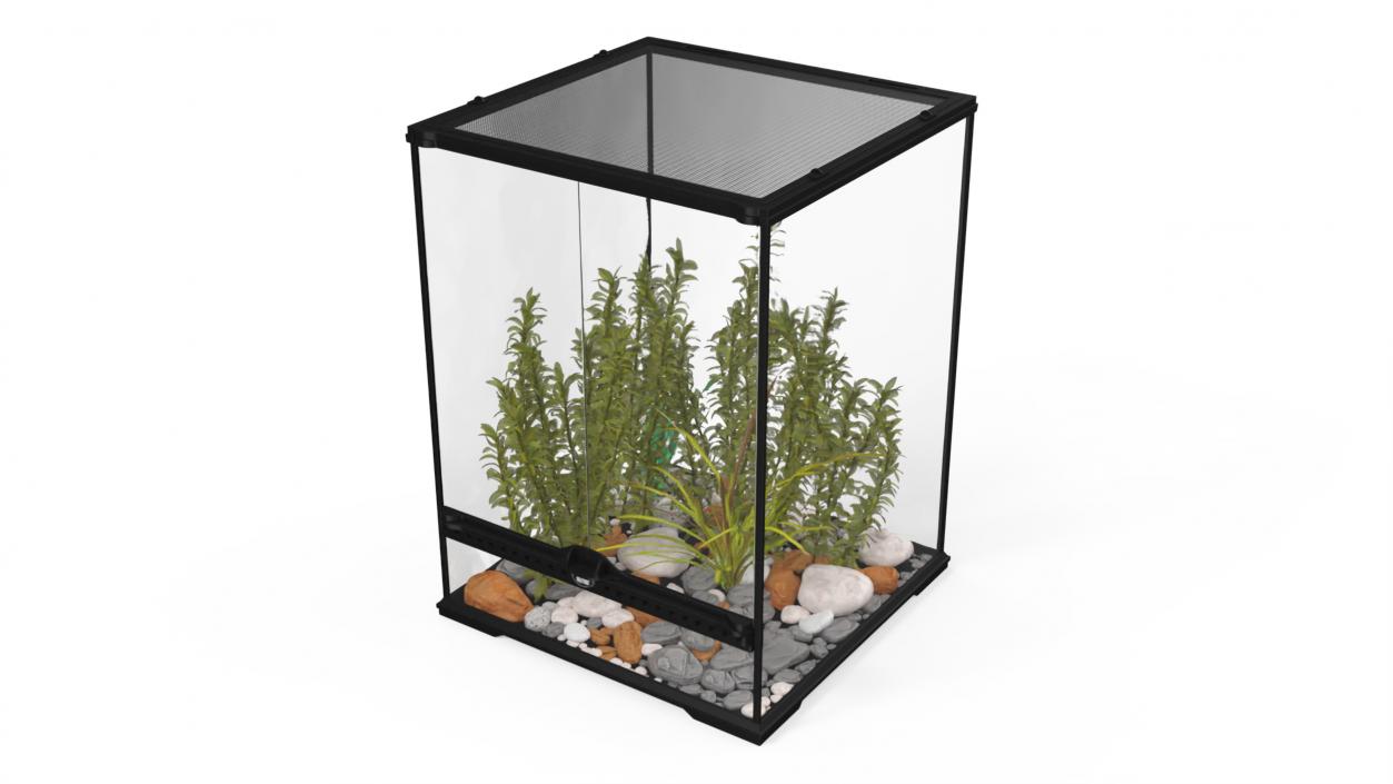 Tall Terrarium for Reptiles with Wild Plants 3D model