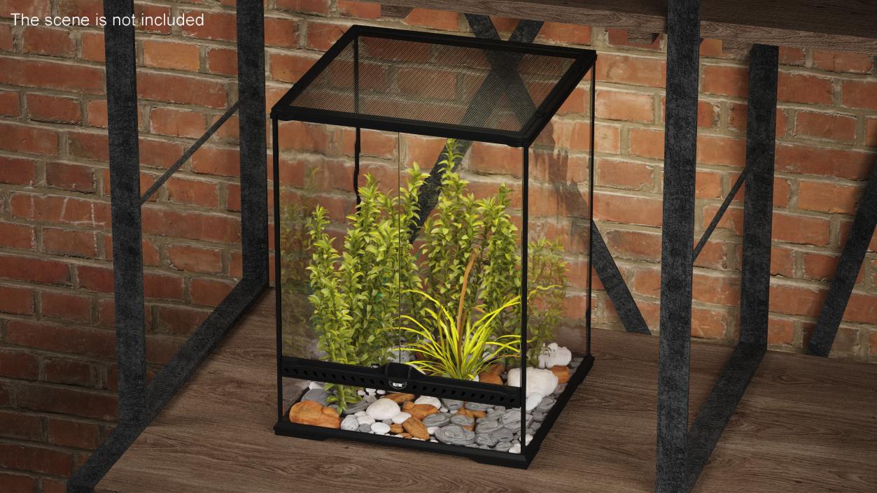 Tall Terrarium for Reptiles with Wild Plants 3D model