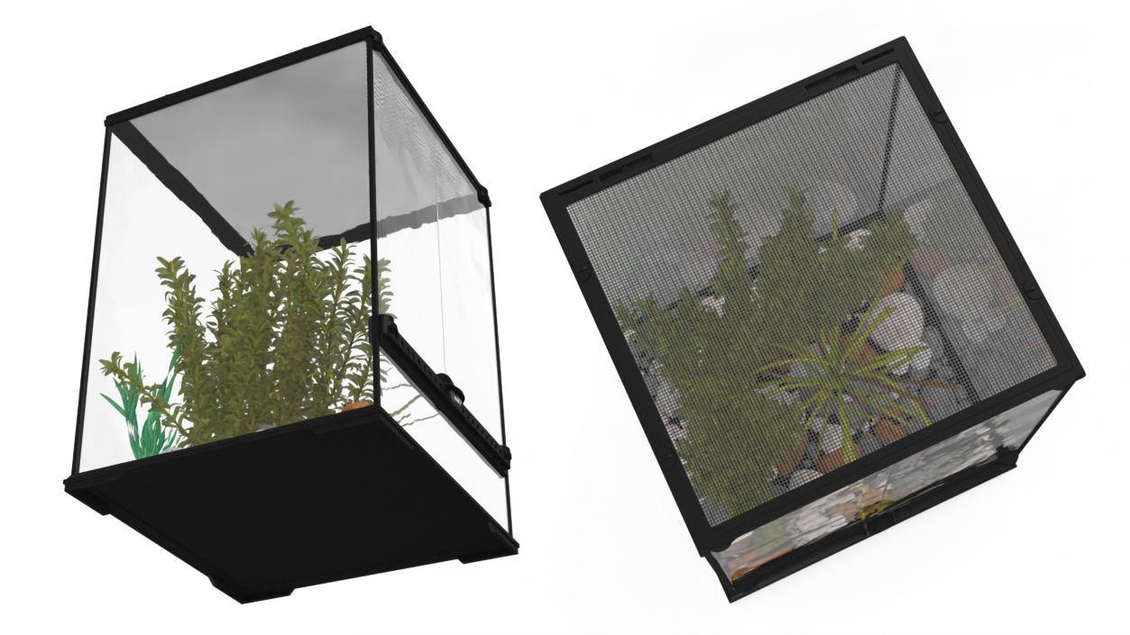 Tall Terrarium for Reptiles with Wild Plants 3D model