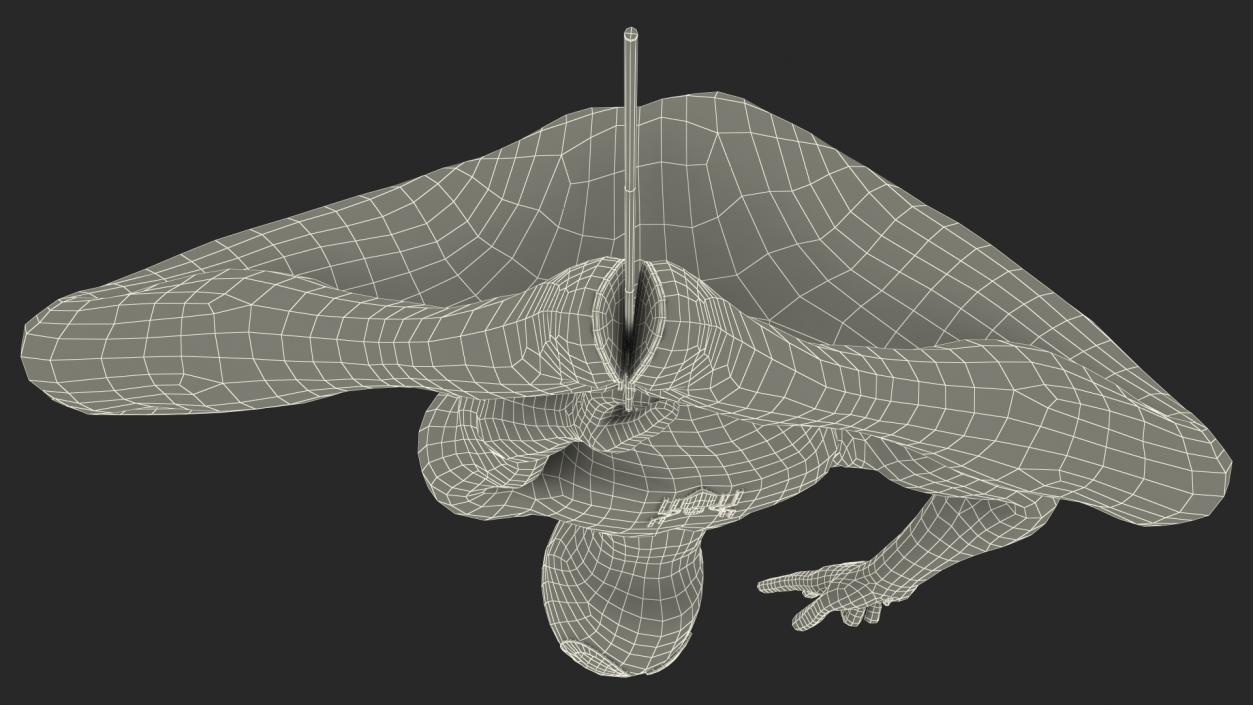 3D Spider Man Hanging Pose model