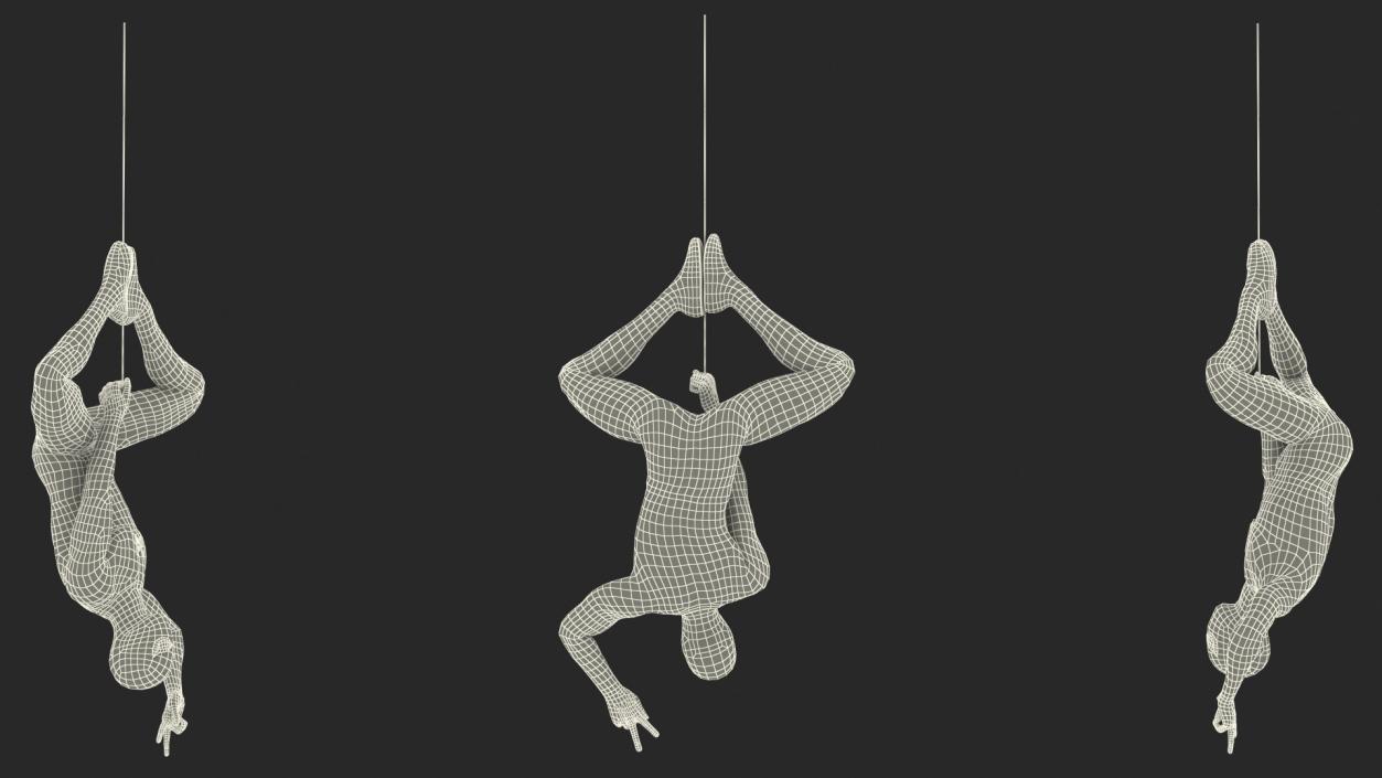 3D Spider Man Hanging Pose model