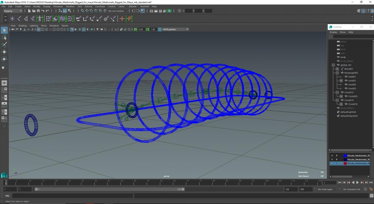 Hirudo Medicinalis Rigged for Maya 3D model