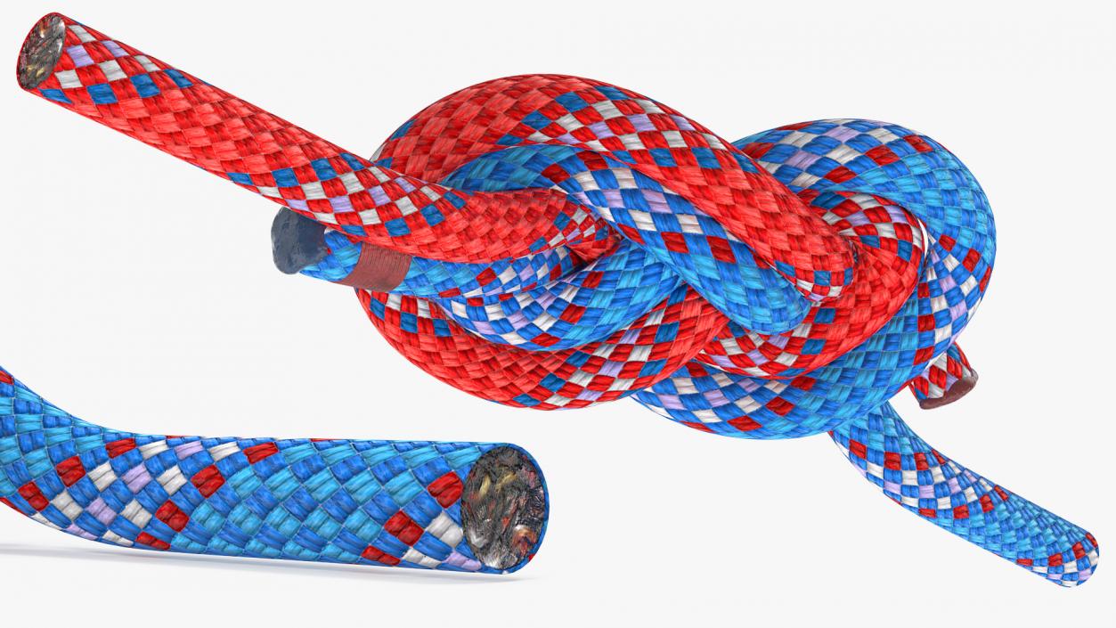 3D Figure 8 Bend Knot model