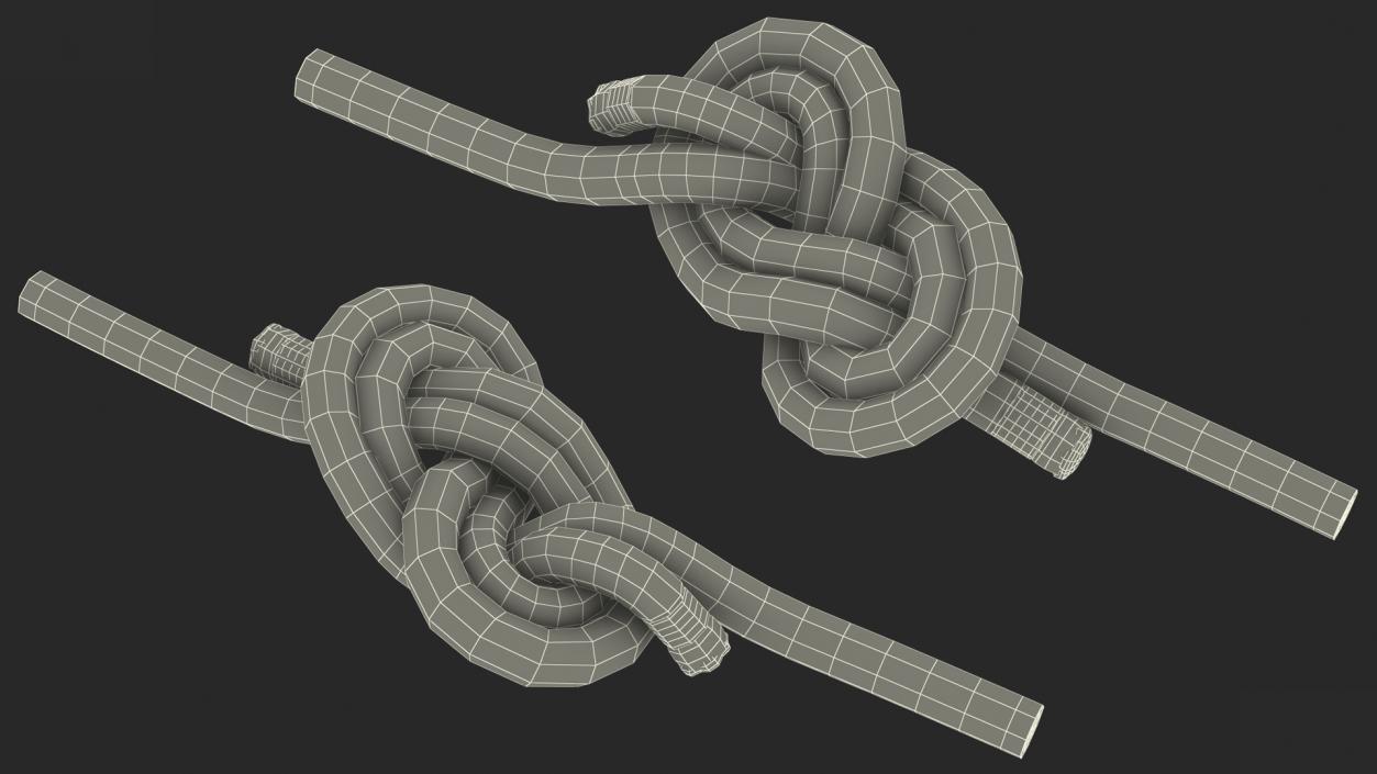 3D Figure 8 Bend Knot model