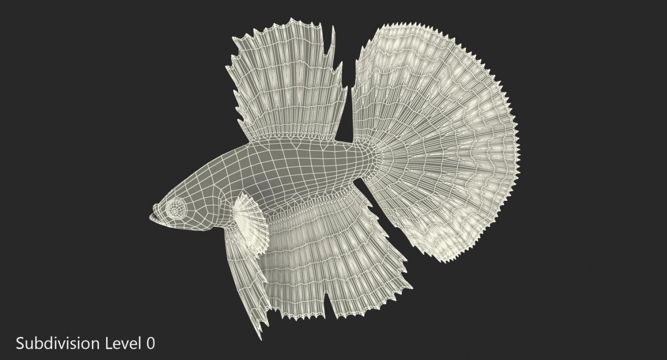 3D model Blue Betta Fish