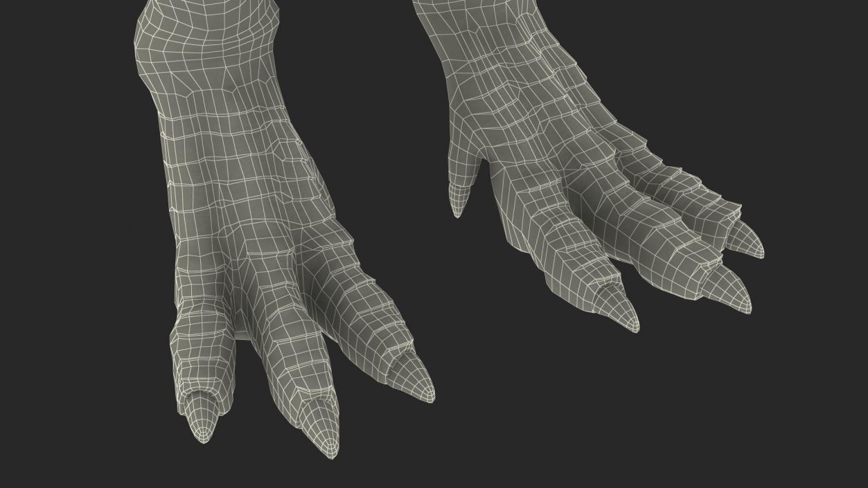 3D Tyrannosaurus Rex Skeleton with Skin Rigged model