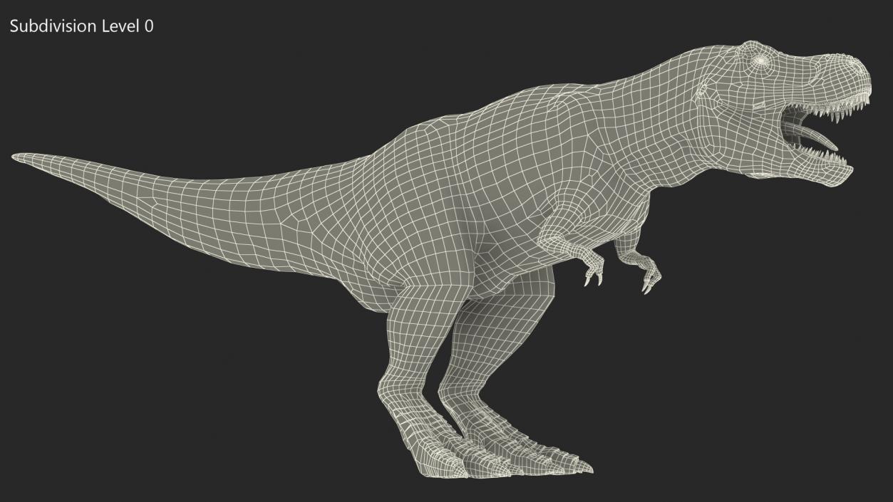 3D Tyrannosaurus Rex Skeleton with Skin Rigged model