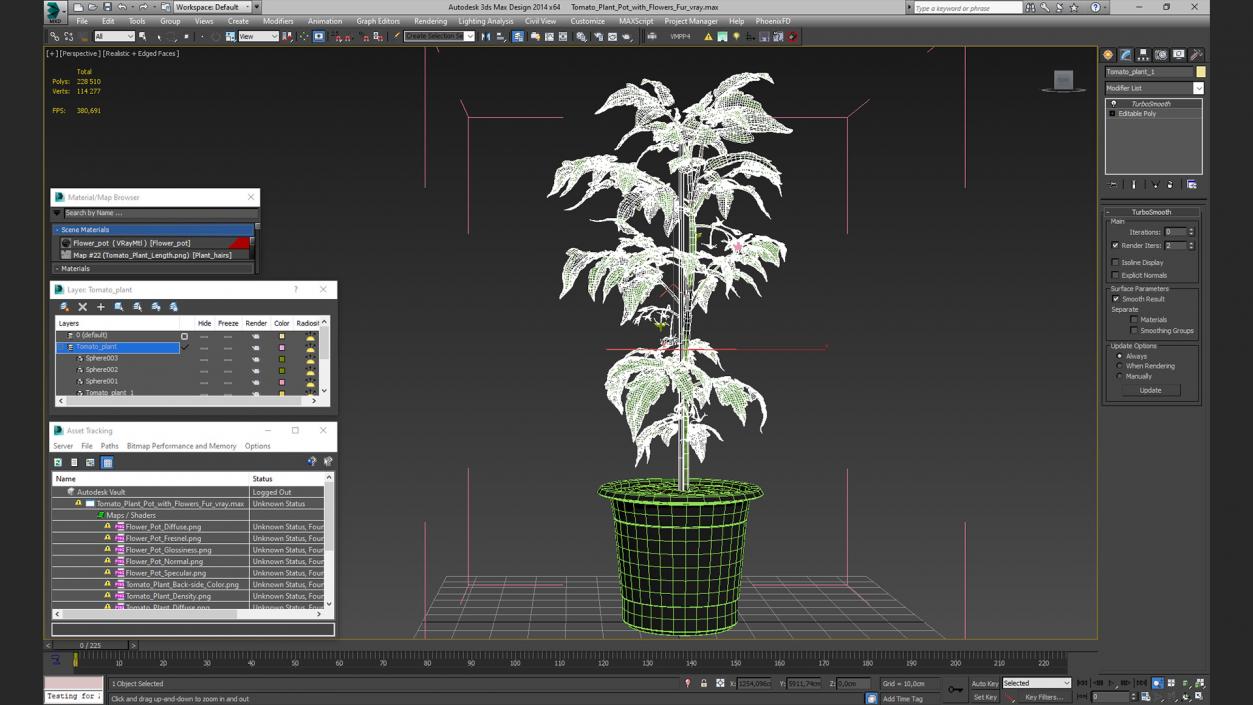 3D Tomato Plant Pot with Flowers Fur model