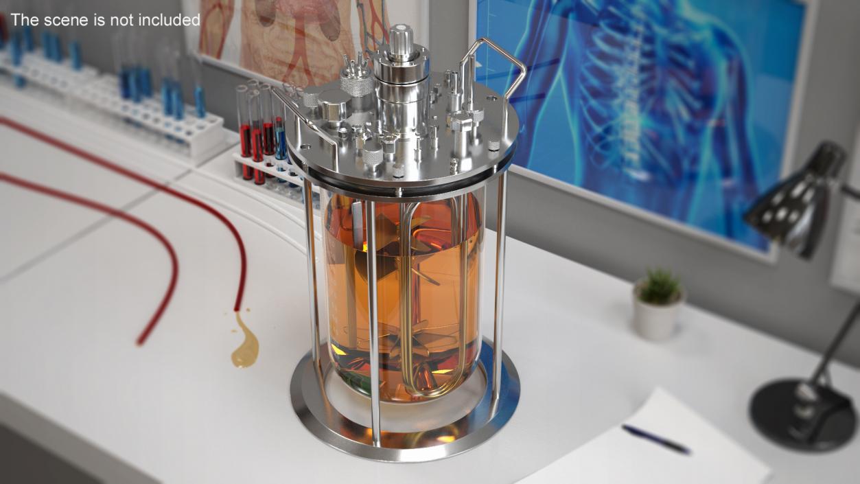 3D model Big Glass Bioreactor