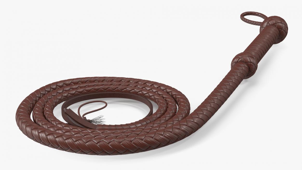 3D Cowboy Whip Brown Rigged for Maya model