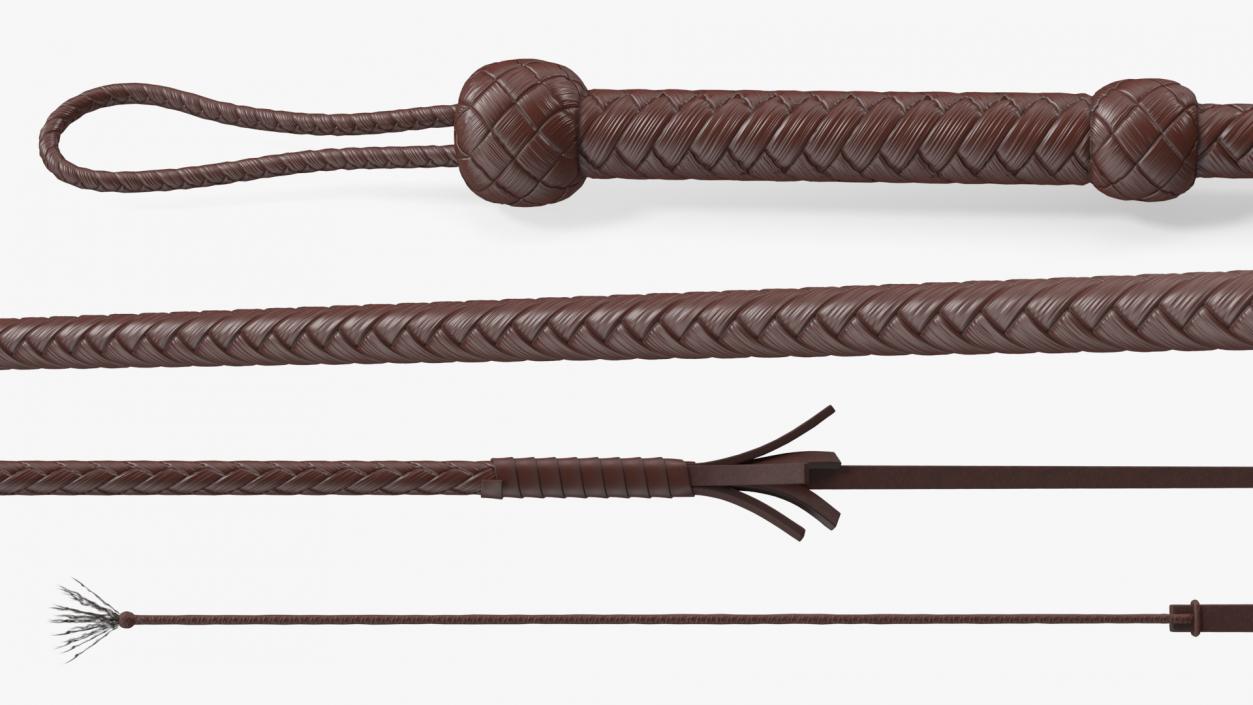 3D Cowboy Whip Brown Rigged for Maya model