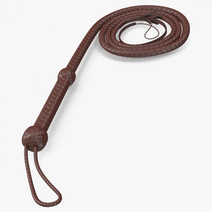 Cowboy Whip Brown Rigged 3D model