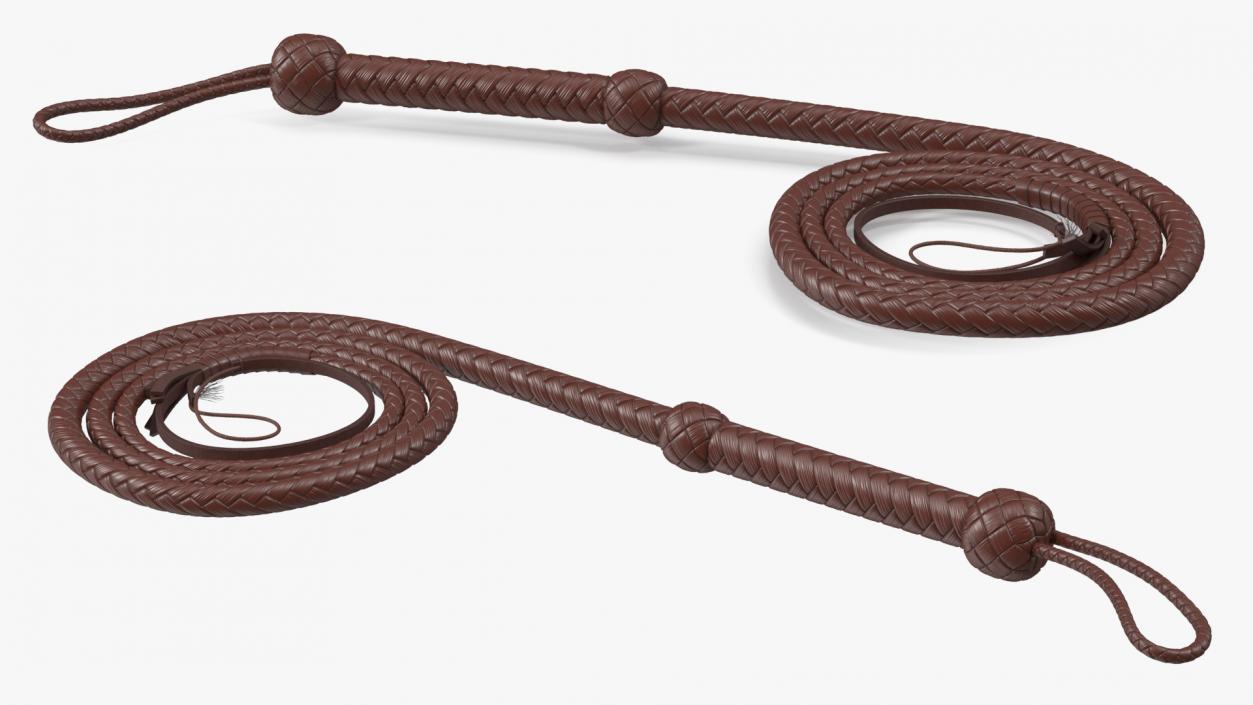 3D Cowboy Whip Brown Rigged for Maya model