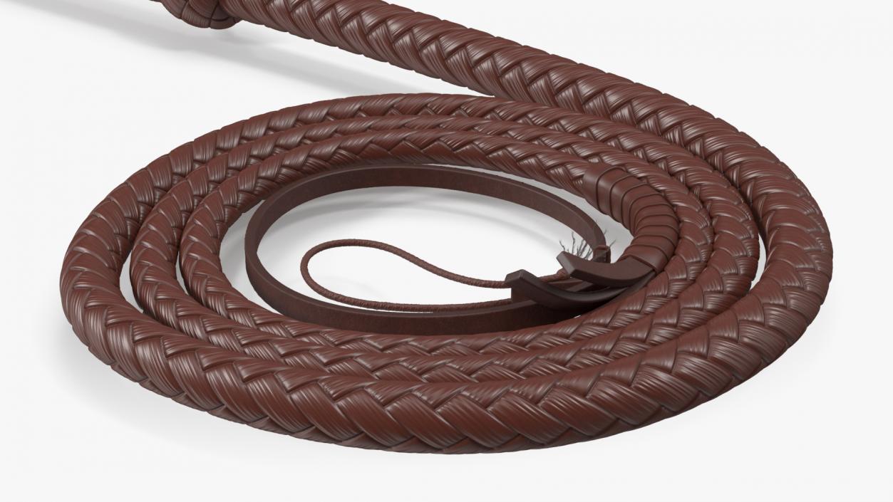 3D Cowboy Whip Brown Rigged for Cinema 4D model