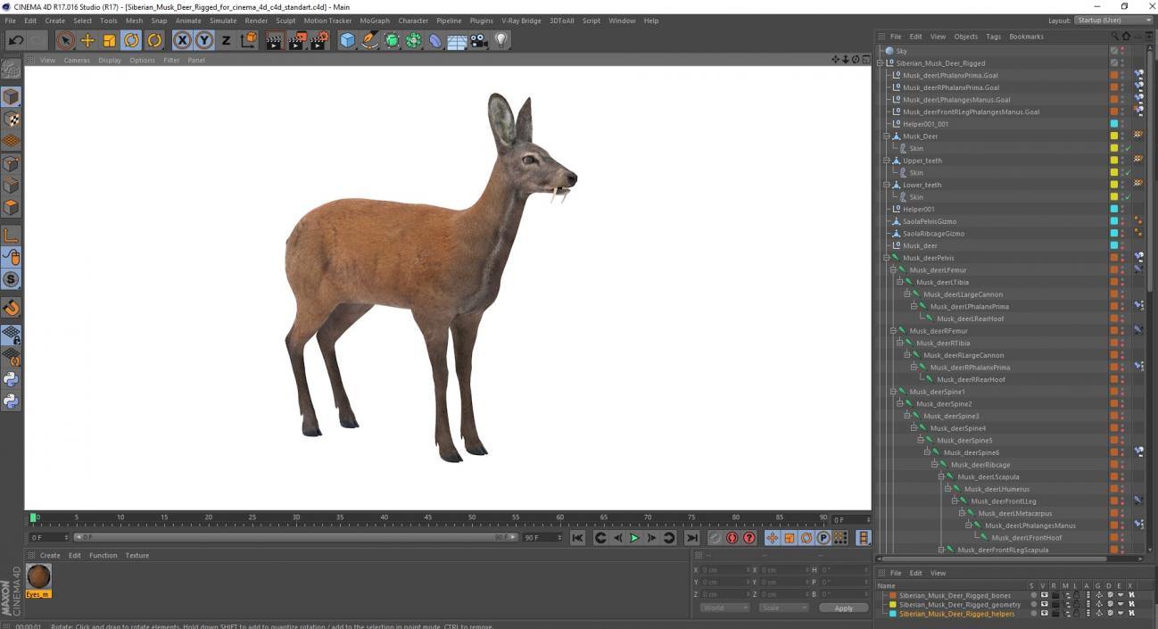 Siberian Musk Deer Rigged for Cinema 4D 3D model