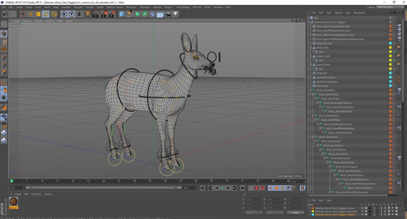 Siberian Musk Deer Rigged for Cinema 4D 3D model