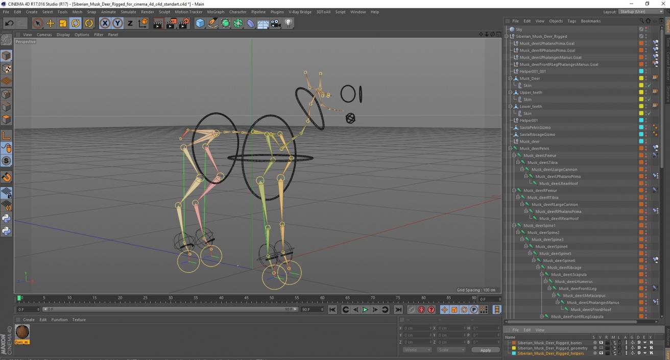 Siberian Musk Deer Rigged for Cinema 4D 3D model