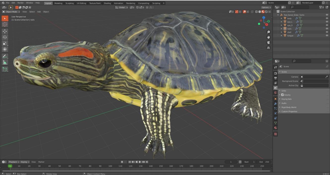 3D Red Eared Slider Turtle model