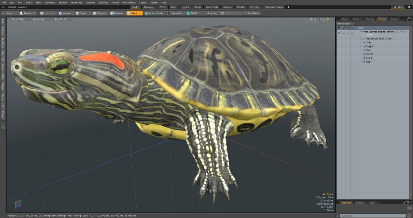 3D Red Eared Slider Turtle model