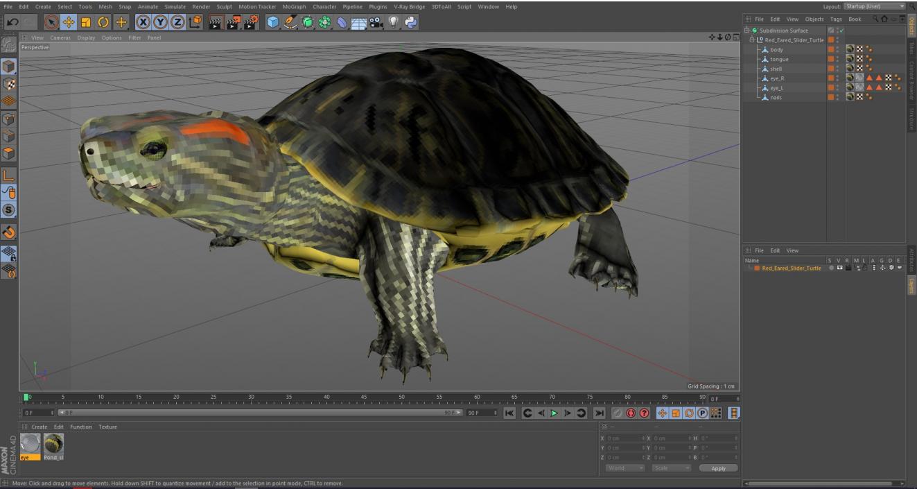 3D Red Eared Slider Turtle model