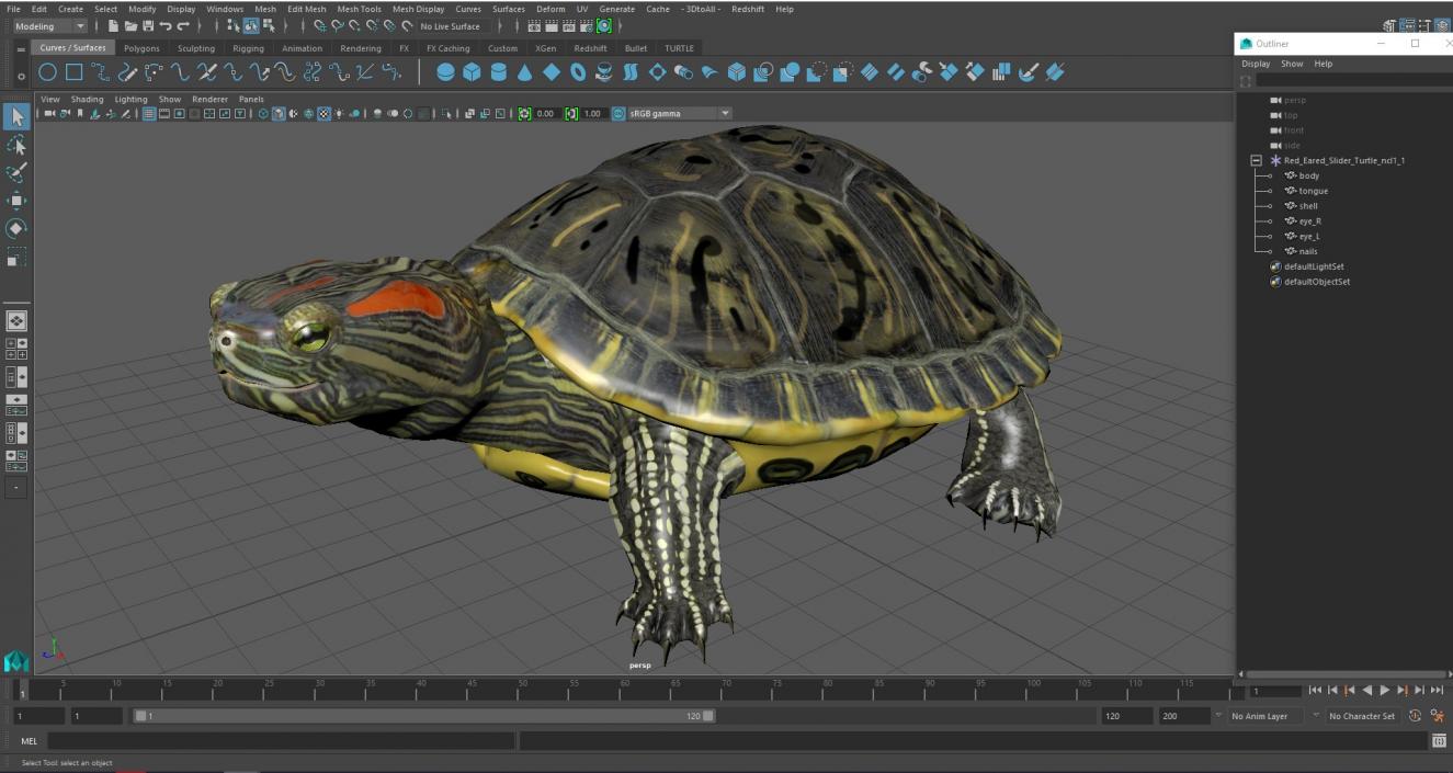 3D Red Eared Slider Turtle model